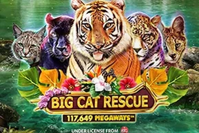 Big Cat Rescue Megaways