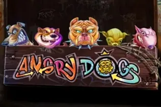 Angry Dogs